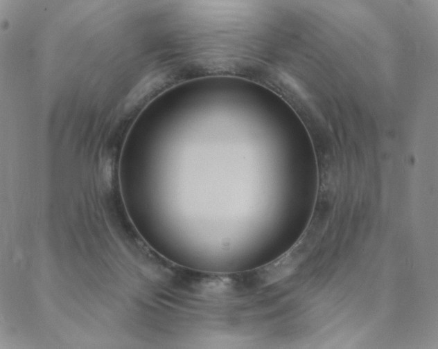 X0000089880124200706281359