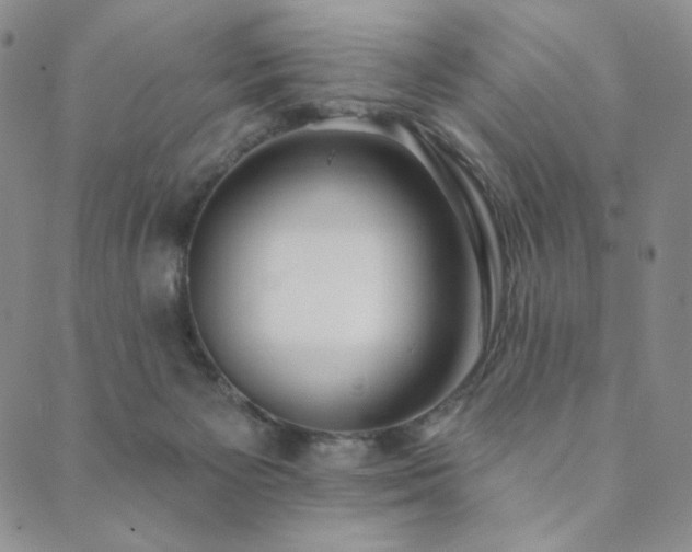 X0000089880125200706281359