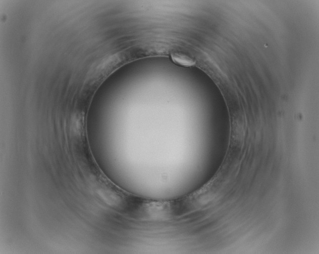 X0000089880126200706281359