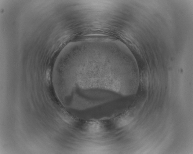 X0000089880127200706281359