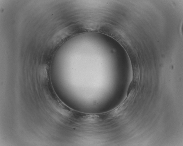 X0000089880128200706281359