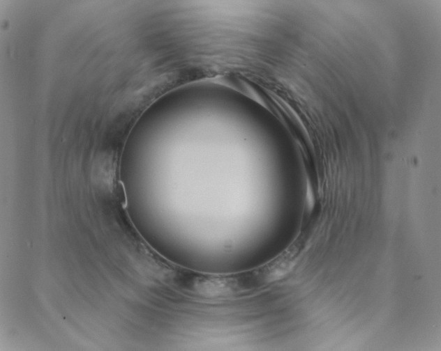 X0000089880129200706281359