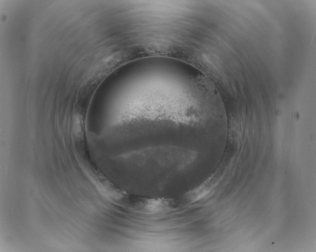 X0000089880130200706281359