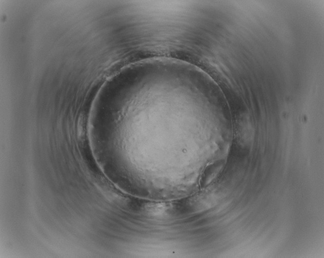 X0000089880131200706281359