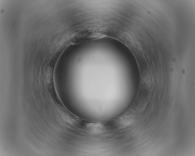 X0000089880133200706281359