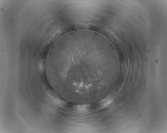 X0000089880134200706281359