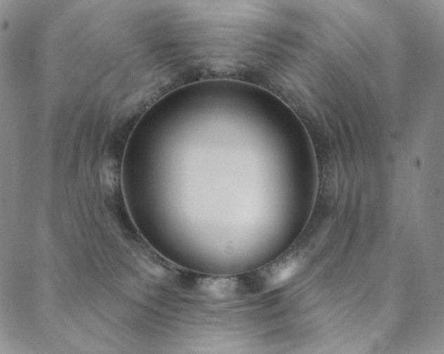 X0000089880135200706281359