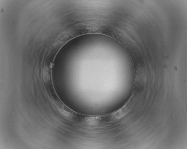 X0000089880136200706281359