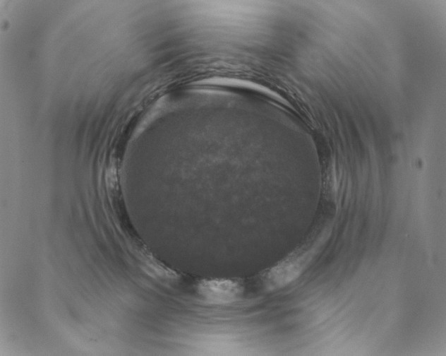 X0000089880137200706281359