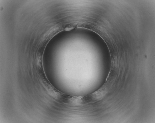 X0000089880138200706281359