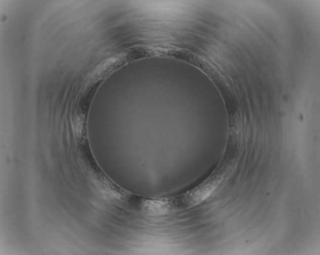 X0000089880139200706281359