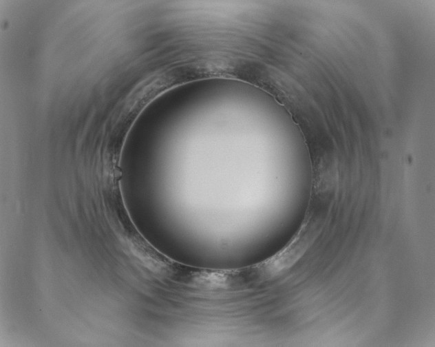 X0000089880140200706281359