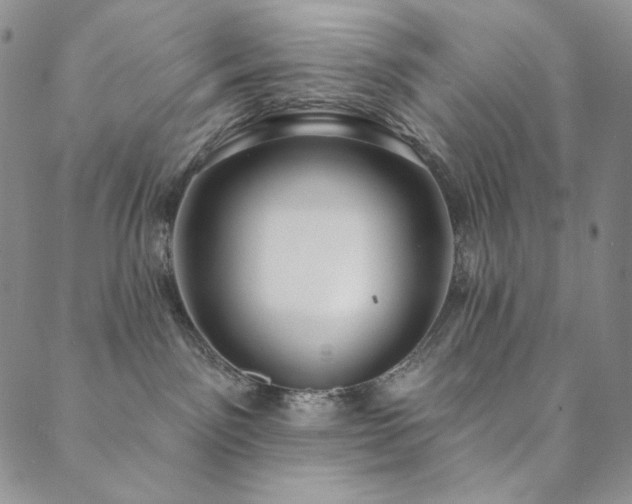 X0000089880141200706281359