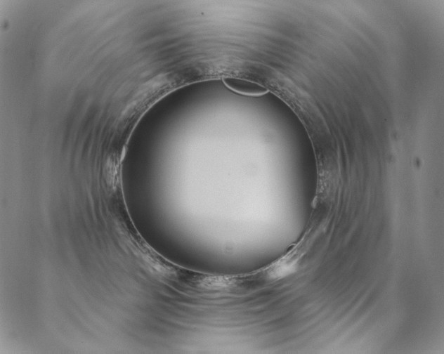 X0000089880142200706281359