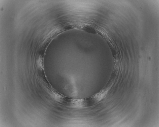 X0000089880143200706281359