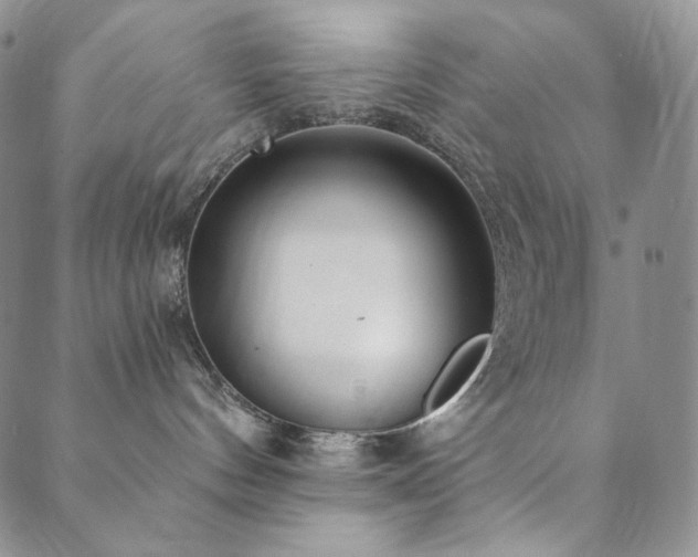 X0000089880144200706281359