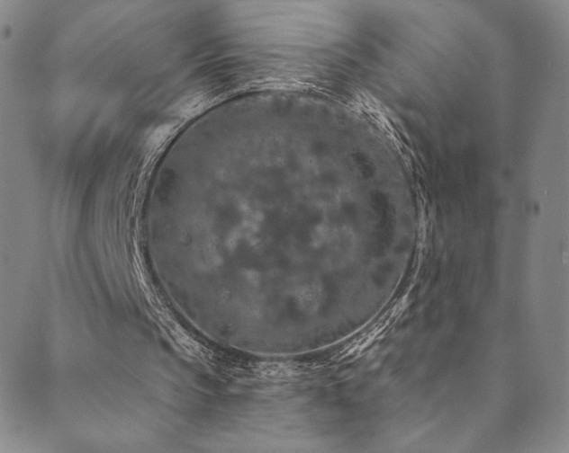 X0000089880145200706281358