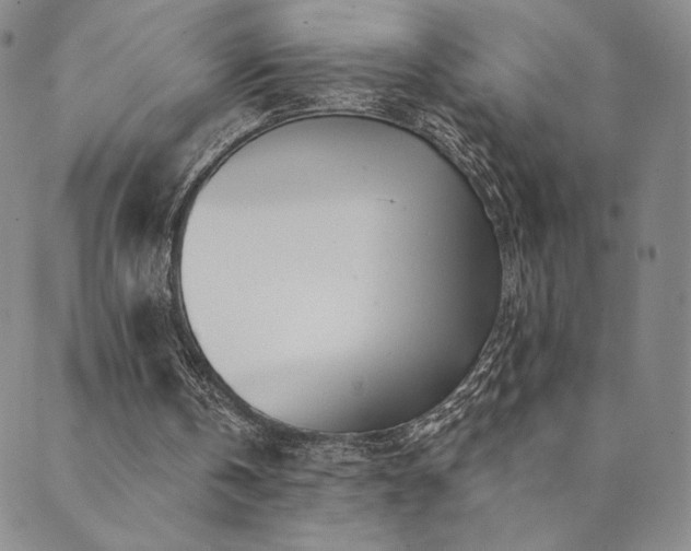 X0000089880146200706281358