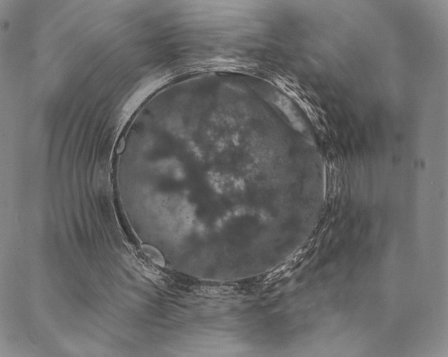 X0000089880147200706281358