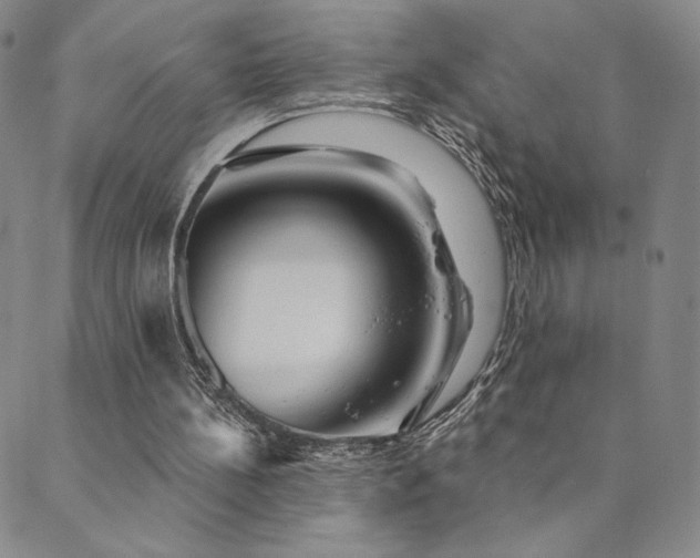 X0000089880148200706281358