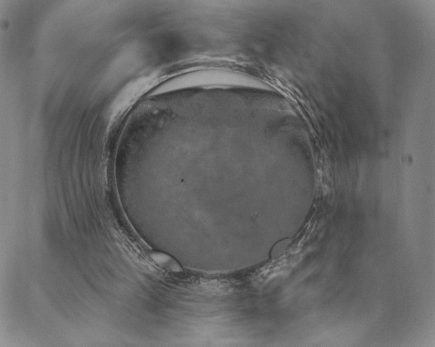 X0000089880149200706281358