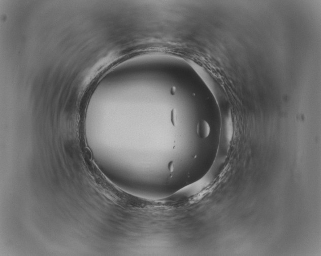 X0000089880150200706281358