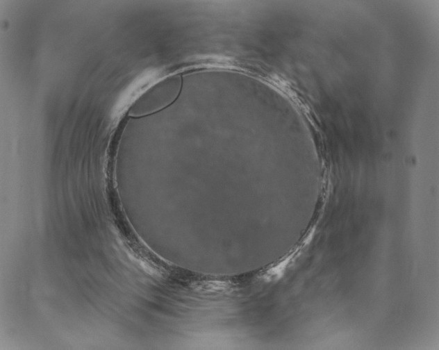 X0000089880151200706281358