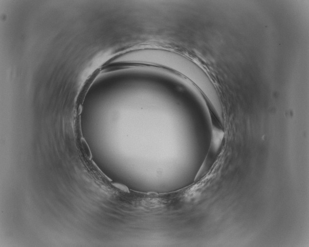 X0000089880152200706281358