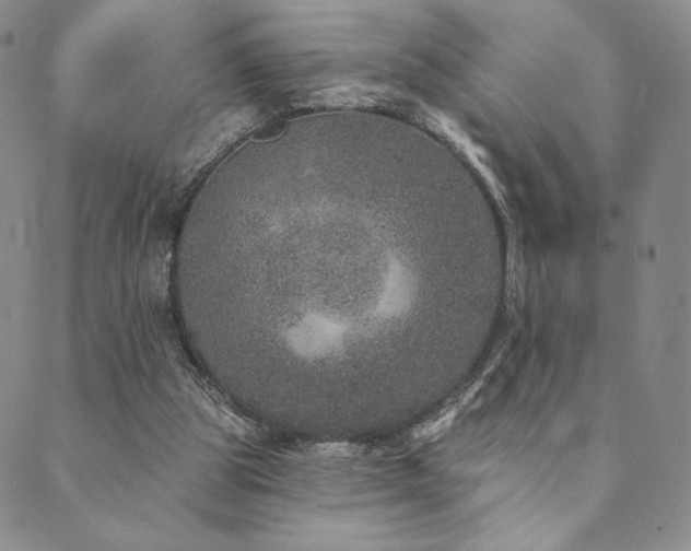 X0000089880153200706281358