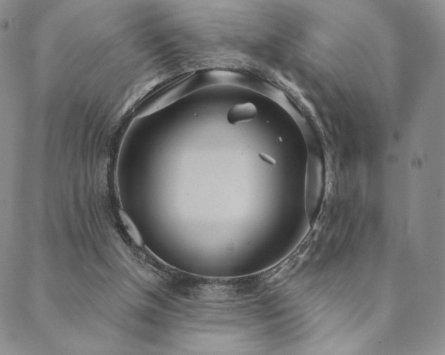 X0000089880154200706281358