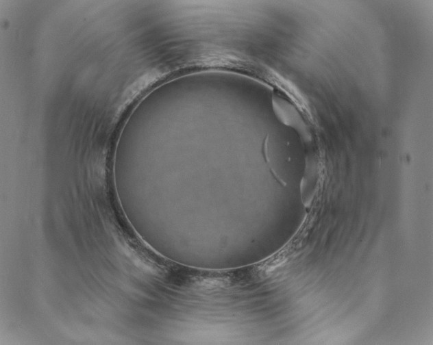 X0000089880155200706281358