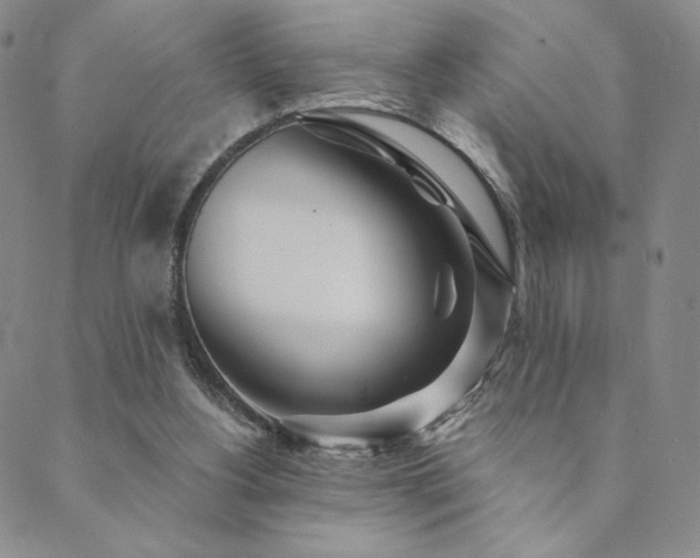 X0000089880156200706281358