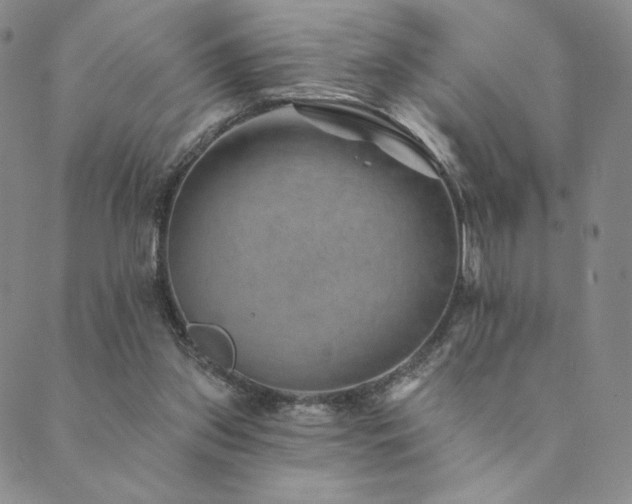 X0000089880157200706281358