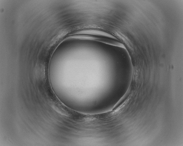 X0000089880158200706281358