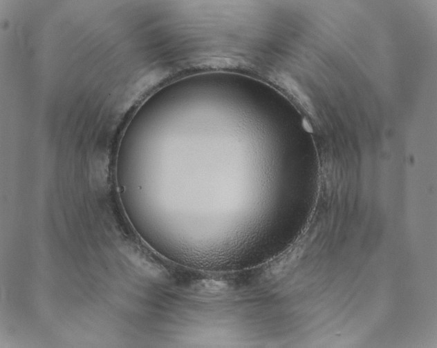 X0000089880159200706281358