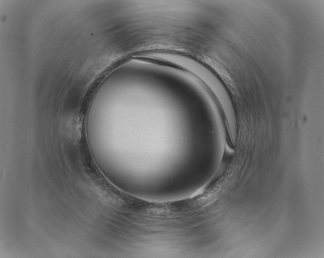 X0000089880160200706281358