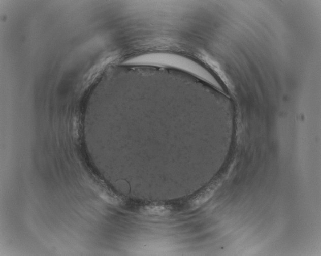 X0000089880161200706281358