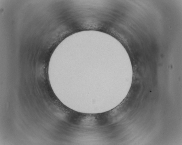 X0000089880162200706281358