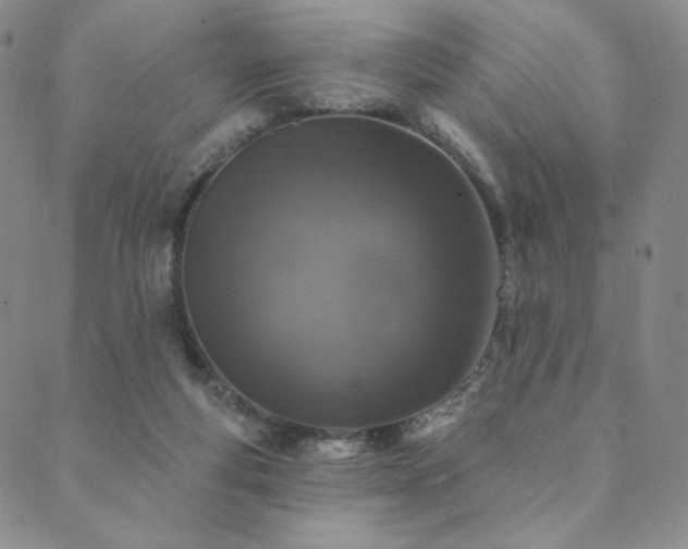 X0000089880163200706281358