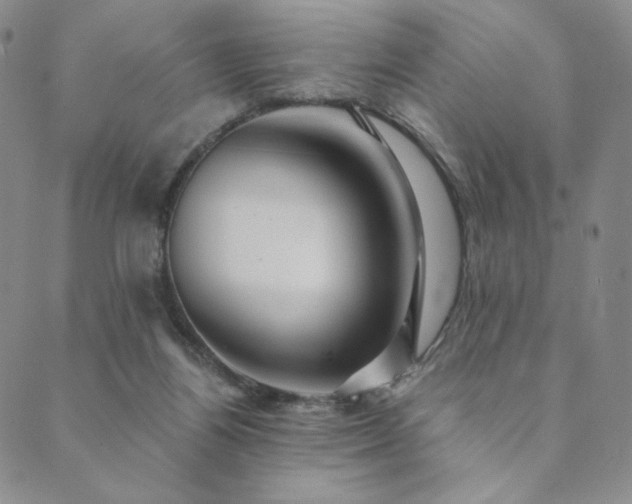 X0000089880164200706281358