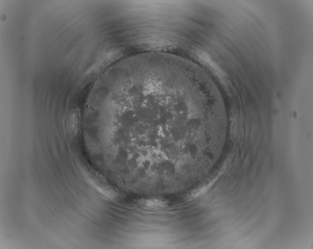 X0000089880165200706281358