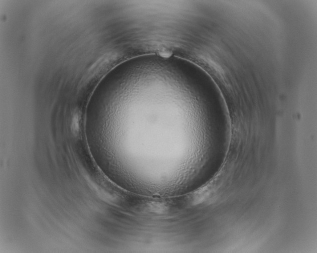 X0000089880166200706281358