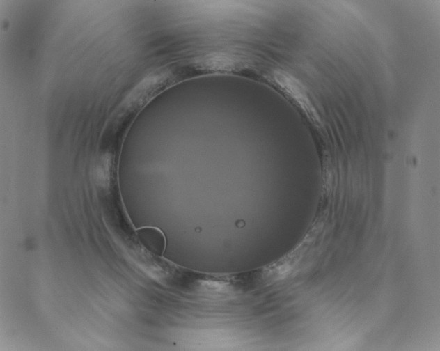 X0000089880167200706281358