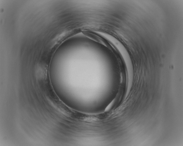 X0000089880168200706281358