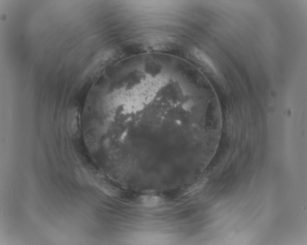 X0000089880169200706281358