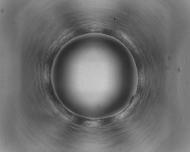 X0000089880170200706281358