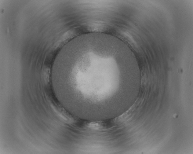 X0000089880171200706281358