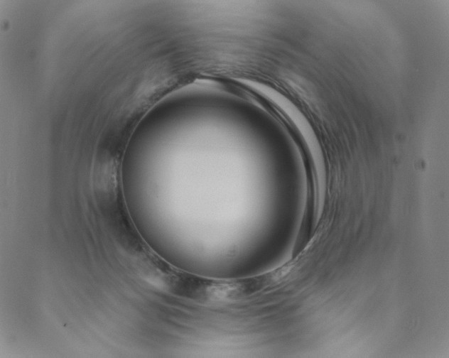 X0000089880172200706281358