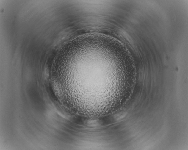 X0000089880173200706281358