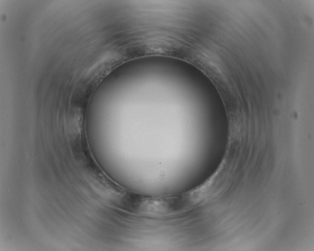 X0000089880174200706281358